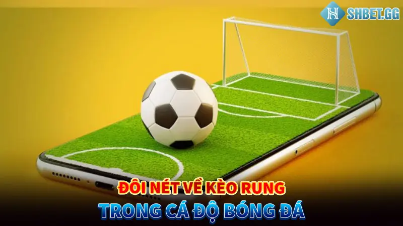Kèo Rung Là Gì? Top 5 Kinh Nghiệm Đánh Kèo Từ Cao Thủ 2 Đôi nét về kèo rung trong cá độ bóng đá